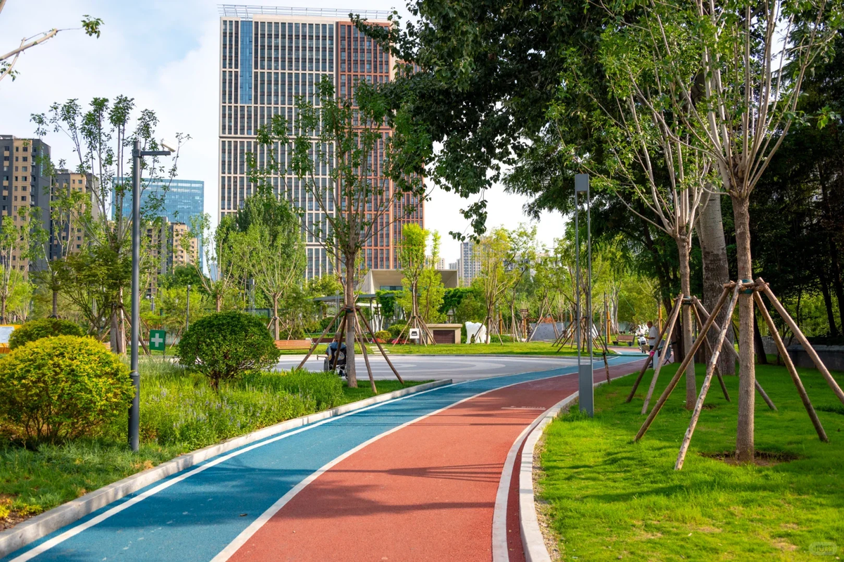 The Hidden Reason Why More Cities Are Replacing Gray Pavement With Color